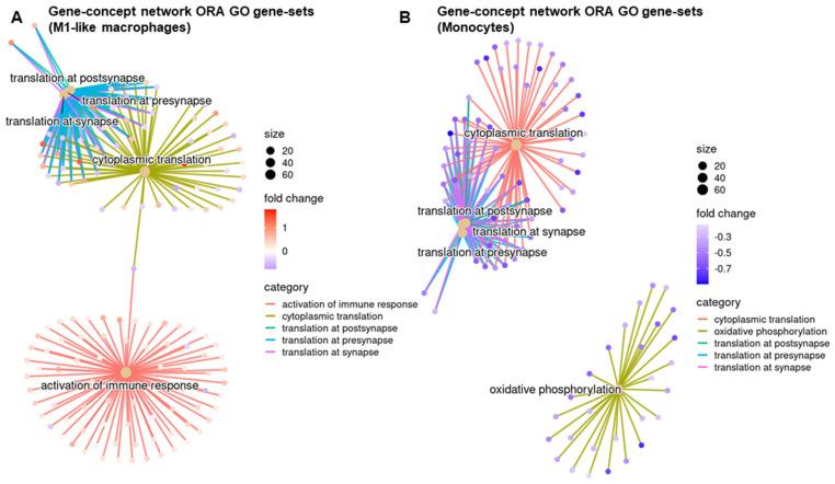 https://cdn.ncbi.nlm.nih.gov/pmc/blobs/075a/11047833/9986d02bc40e/biomedicines-12-00920-g004.jpg