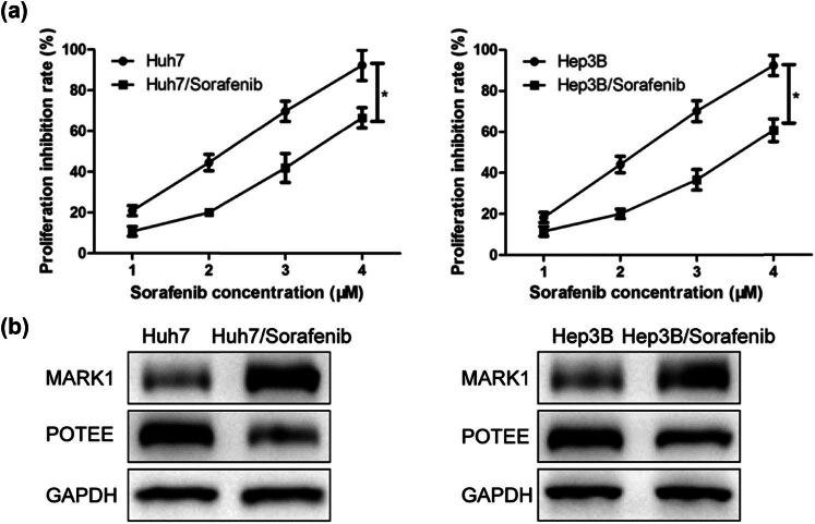 https://cdn.ncbi.nlm.nih.gov/pmc/blobs/075a/11554448/52da102ffc21/j_med-2024-1060-fig003.jpg