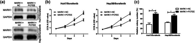 https://cdn.ncbi.nlm.nih.gov/pmc/blobs/075a/11554448/7416c9ee6784/j_med-2024-1060-fig005.jpg