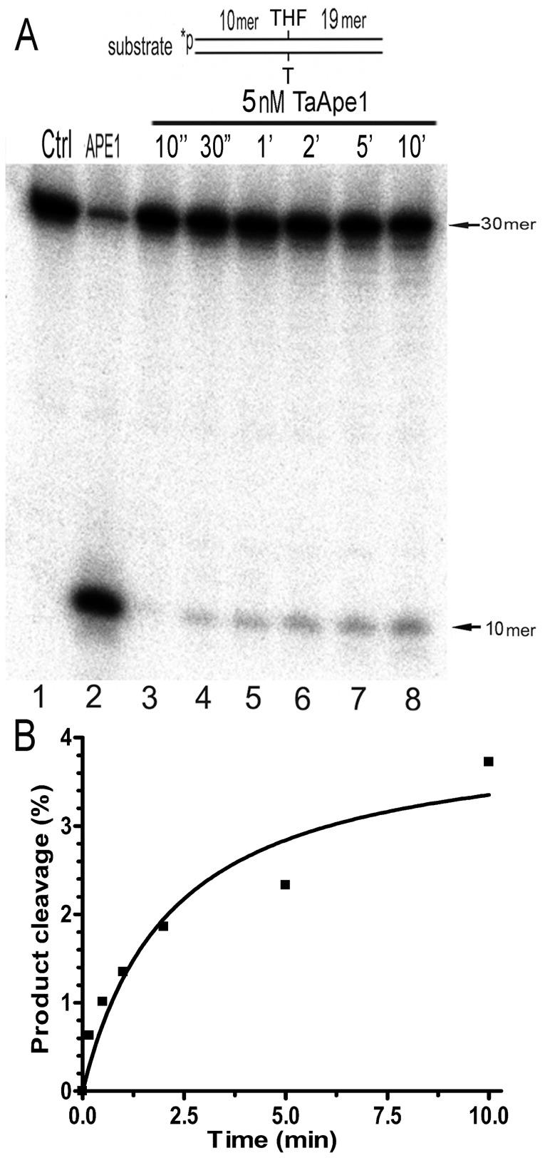 https://cdn.ncbi.nlm.nih.gov/pmc/blobs/075c/3965494/14c64f21714f/pone.0092963.g005.jpg