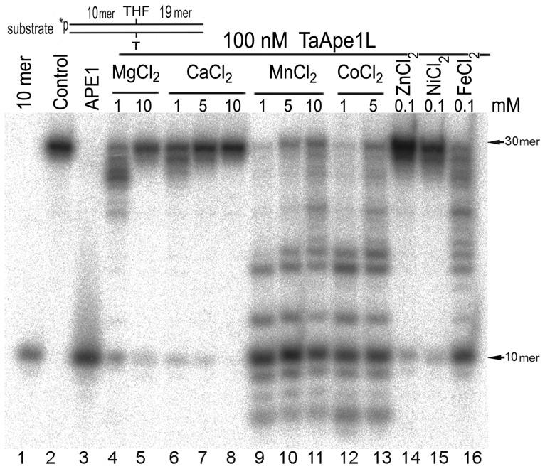 https://cdn.ncbi.nlm.nih.gov/pmc/blobs/075c/3965494/c69c6fd40430/pone.0092963.g002.jpg