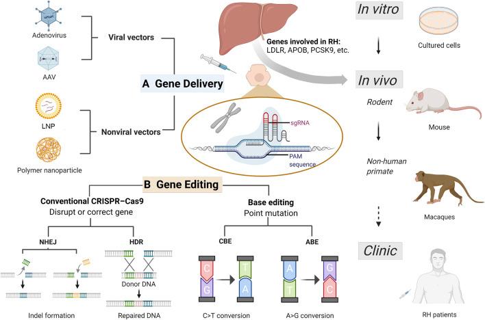 https://cdn.ncbi.nlm.nih.gov/pmc/blobs/075d/9218664/3fc740a68fcf/fgene-13-911429-g001.jpg