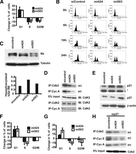 https://cdn.ncbi.nlm.nih.gov/pmc/blobs/075e/2893979/1964c222d9f6/zmk0131094990002.jpg