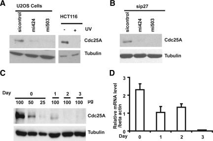 https://cdn.ncbi.nlm.nih.gov/pmc/blobs/075e/2893979/7e96a6ba092f/zmk0131094990003.jpg