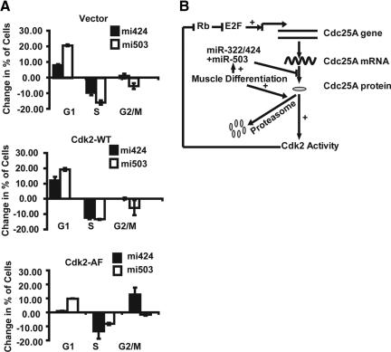 https://cdn.ncbi.nlm.nih.gov/pmc/blobs/075e/2893979/a0bf9887f779/zmk0131094990007.jpg