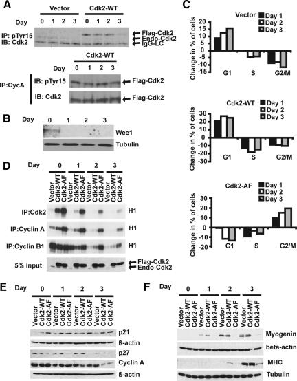 https://cdn.ncbi.nlm.nih.gov/pmc/blobs/075e/2893979/aca0b58a631b/zmk0131094990006.jpg