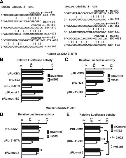 https://cdn.ncbi.nlm.nih.gov/pmc/blobs/075e/2893979/b78357dedb99/zmk0131094990004.jpg