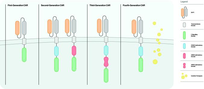 https://cdn.ncbi.nlm.nih.gov/pmc/blobs/0760/10129996/49983c95a3dc/432_2022_4547_Fig2_HTML.jpg