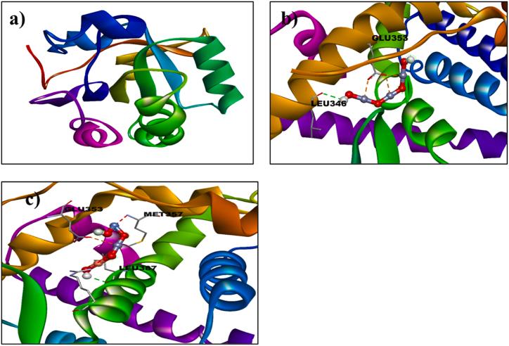 https://cdn.ncbi.nlm.nih.gov/pmc/blobs/0760/11647829/e7f753f03ad1/gr2.jpg