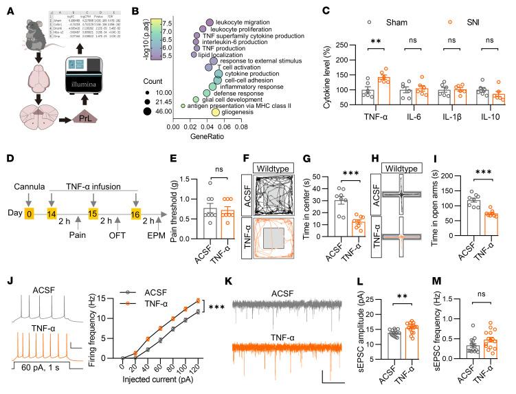 https://cdn.ncbi.nlm.nih.gov/pmc/blobs/0761/10145931/598eb54bca74/jci-133-166356-g114.jpg