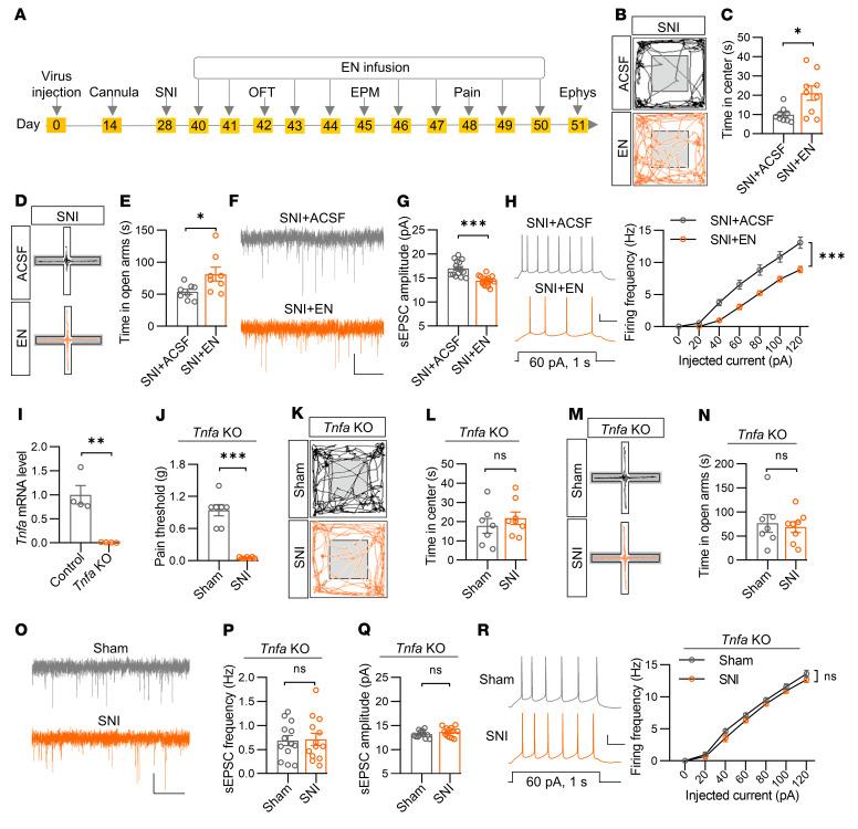 https://cdn.ncbi.nlm.nih.gov/pmc/blobs/0761/10145931/e03e2d4269dd/jci-133-166356-g115.jpg