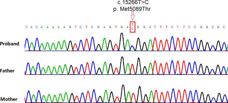 https://cdn.ncbi.nlm.nih.gov/pmc/blobs/0761/11328432/d662d92eae80/12887_2024_4628_Fig2_HTML.jpg