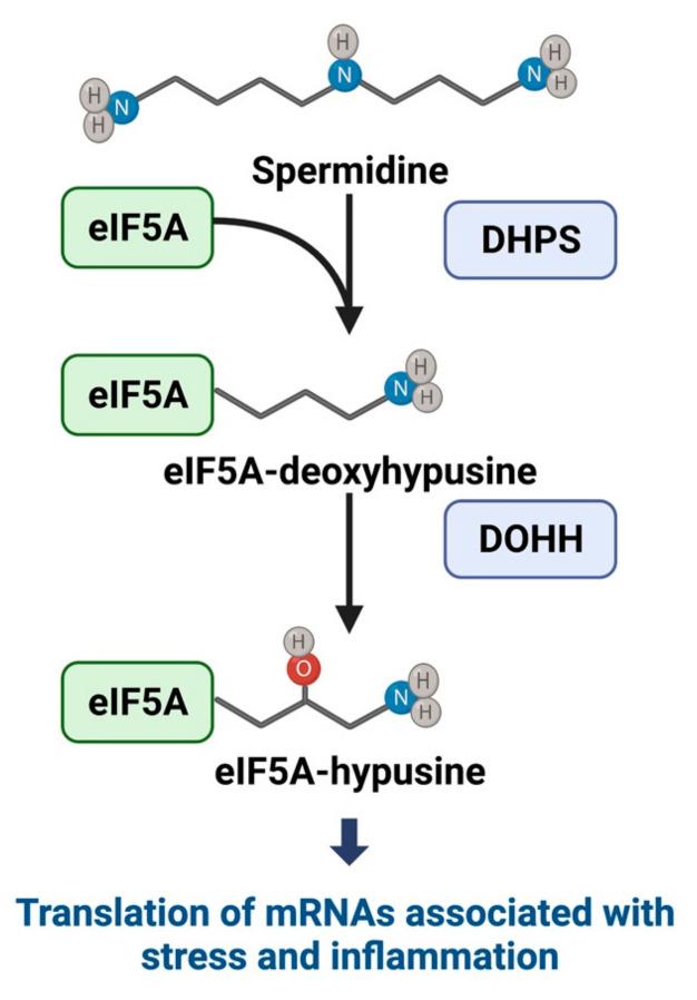 https://cdn.ncbi.nlm.nih.gov/pmc/blobs/0761/9028953/5da6db62f99a/metabolites-12-00344-g002.jpg