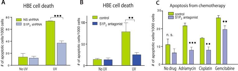 https://cdn.ncbi.nlm.nih.gov/pmc/blobs/0762/4337653/81a31e48947b/elife04069f002.jpg
