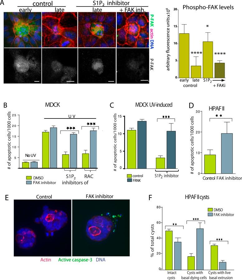 https://cdn.ncbi.nlm.nih.gov/pmc/blobs/0762/4337653/bb39d277c1fd/elife04069f006.jpg