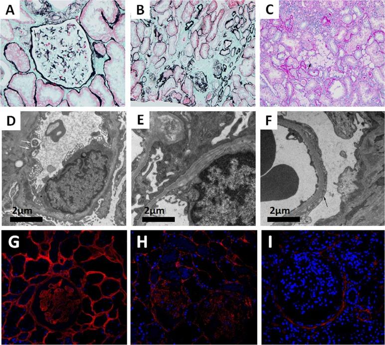 https://cdn.ncbi.nlm.nih.gov/pmc/blobs/0764/6614519/146eeb6f0fb0/fgene-10-00628-g001.jpg