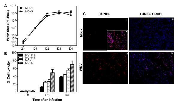 https://cdn.ncbi.nlm.nih.gov/pmc/blobs/0768/2984415/ecb7a4fa845a/1742-2094-7-73-1.jpg