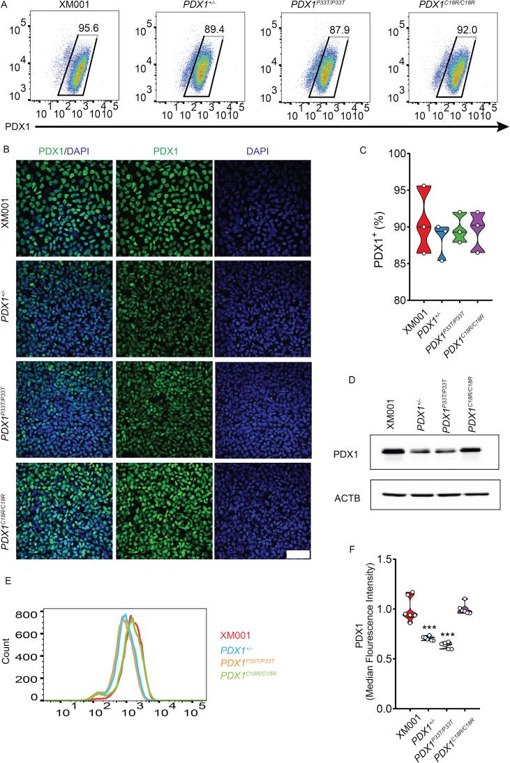 https://cdn.ncbi.nlm.nih.gov/pmc/blobs/076c/6531841/47ba97df9f5d/gr2.jpg