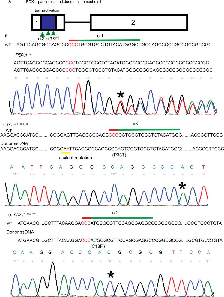 https://cdn.ncbi.nlm.nih.gov/pmc/blobs/076c/6531841/4affdac02c6c/figs6.jpg