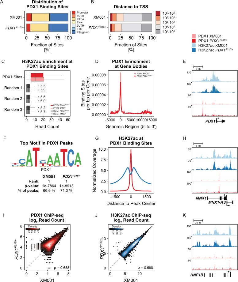 https://cdn.ncbi.nlm.nih.gov/pmc/blobs/076c/6531841/4d11efaf0c98/figs11.jpg