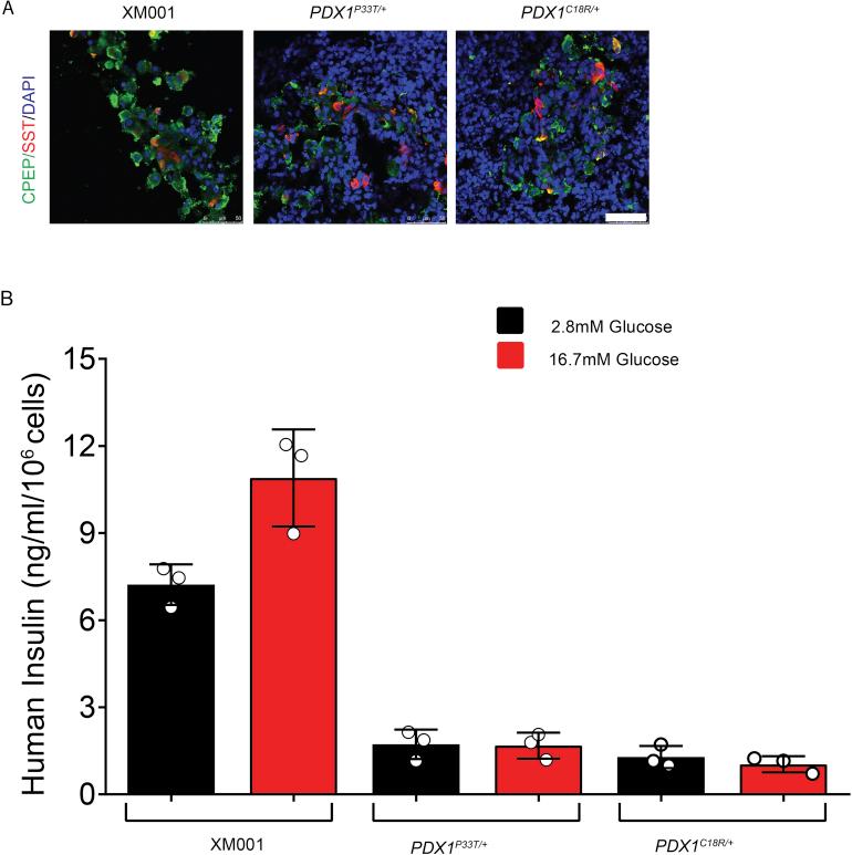 https://cdn.ncbi.nlm.nih.gov/pmc/blobs/076c/6531841/8987acb48db8/figs5.jpg