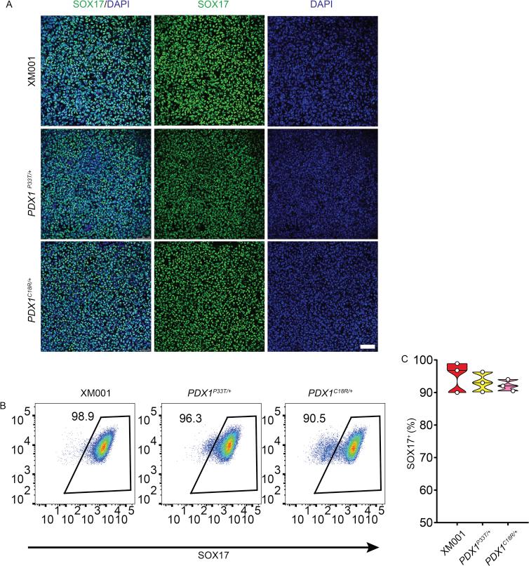 https://cdn.ncbi.nlm.nih.gov/pmc/blobs/076c/6531841/906d365c3e86/figs2.jpg