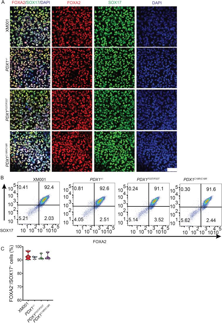 https://cdn.ncbi.nlm.nih.gov/pmc/blobs/076c/6531841/95a860487c77/figs8.jpg