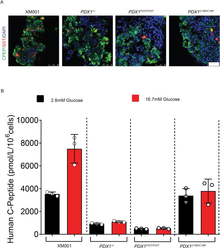https://cdn.ncbi.nlm.nih.gov/pmc/blobs/076c/6531841/a0143fd59db9/figs9.jpg