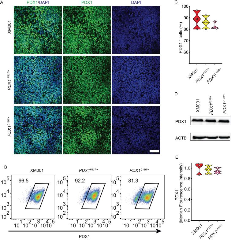 https://cdn.ncbi.nlm.nih.gov/pmc/blobs/076c/6531841/aae3dbe27a84/figs3.jpg