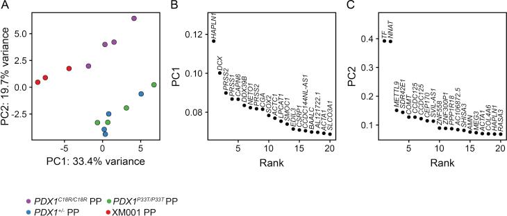 https://cdn.ncbi.nlm.nih.gov/pmc/blobs/076c/6531841/ace075c046ad/figs10.jpg