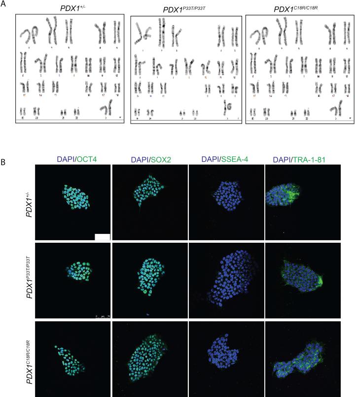 https://cdn.ncbi.nlm.nih.gov/pmc/blobs/076c/6531841/bab1c3d0f27e/figs7.jpg