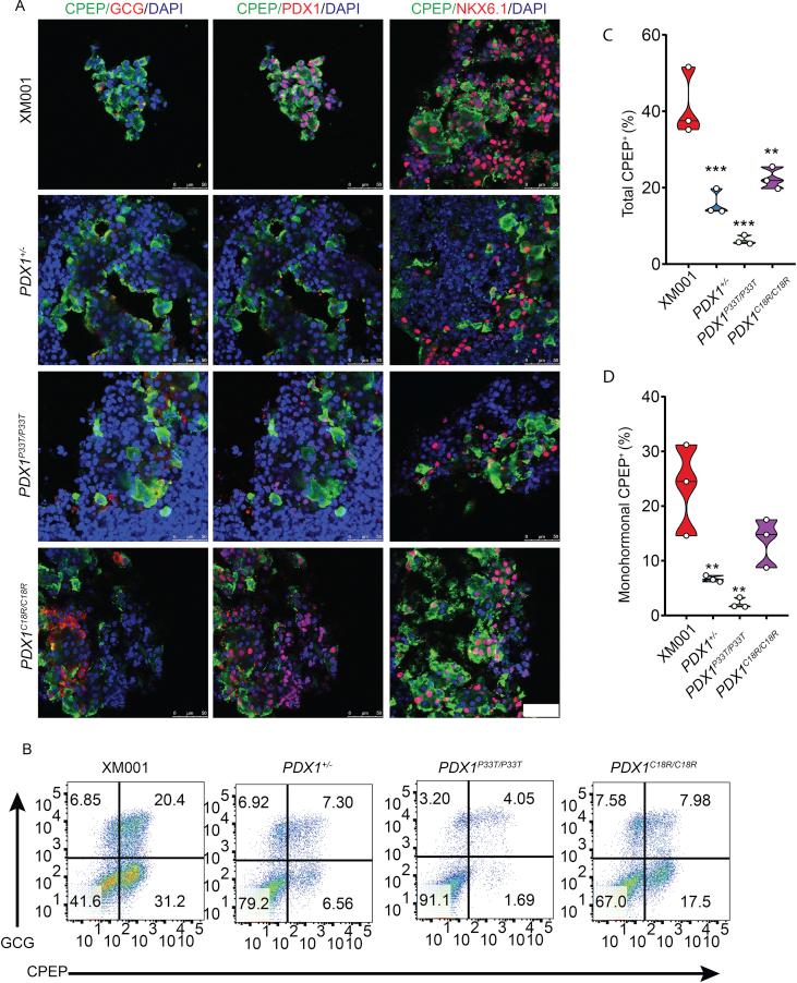 https://cdn.ncbi.nlm.nih.gov/pmc/blobs/076c/6531841/c04ef16af7cf/gr4.jpg