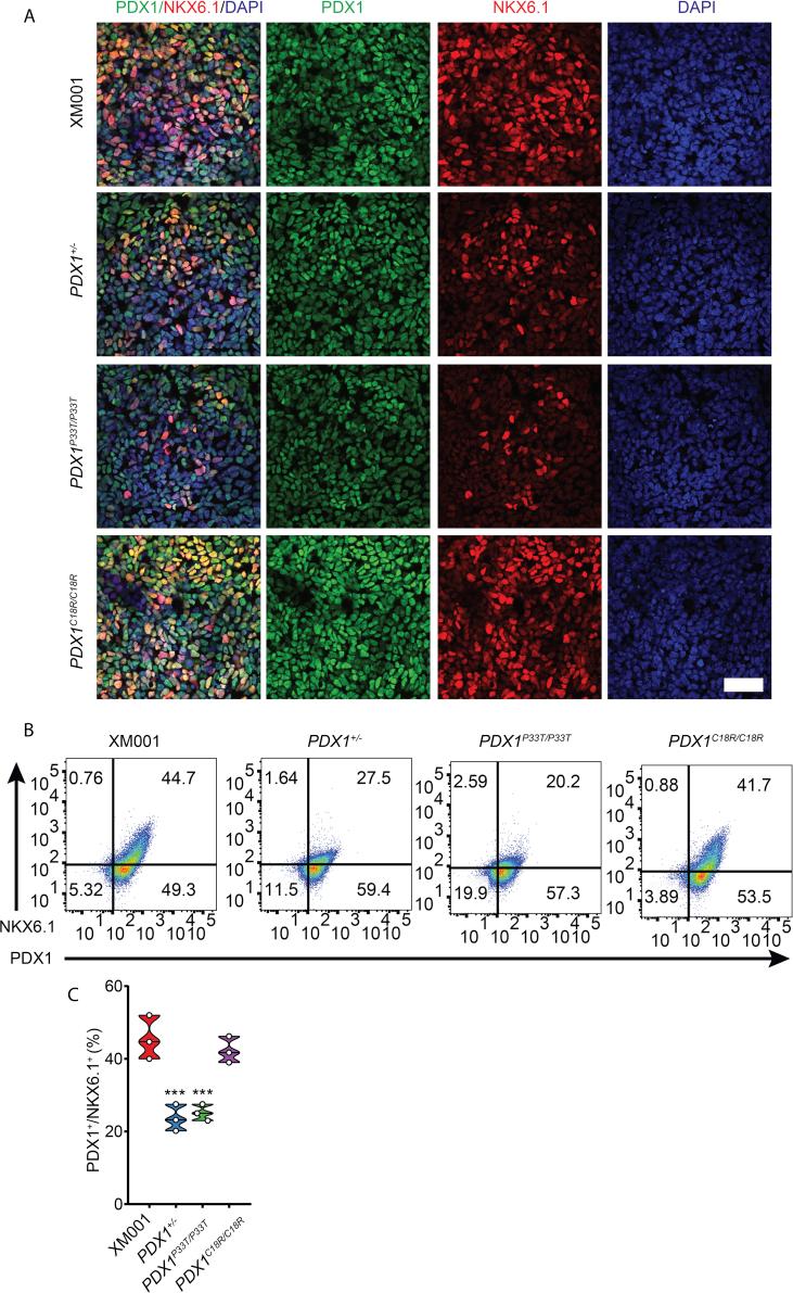 https://cdn.ncbi.nlm.nih.gov/pmc/blobs/076c/6531841/dc638b97b116/gr3.jpg