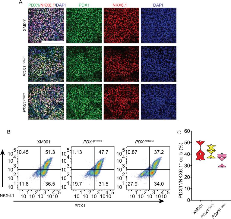 https://cdn.ncbi.nlm.nih.gov/pmc/blobs/076c/6531841/dd17892671c9/figs4.jpg