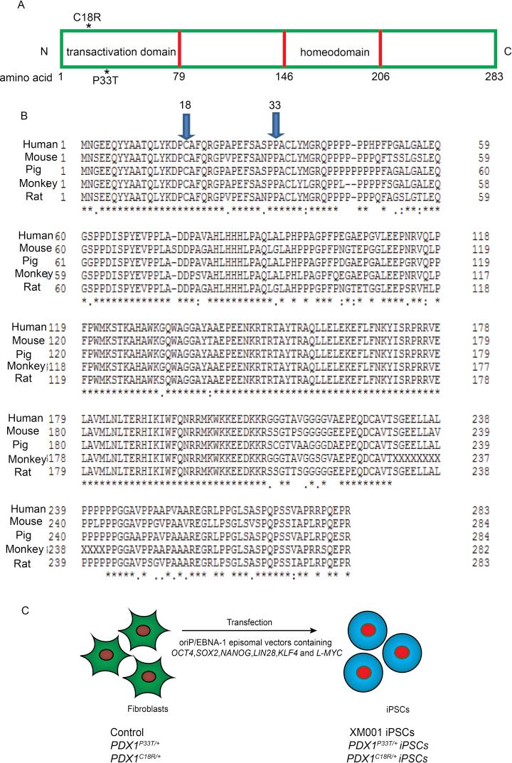 https://cdn.ncbi.nlm.nih.gov/pmc/blobs/076c/6531841/eef5bd5727d6/figs1.jpg