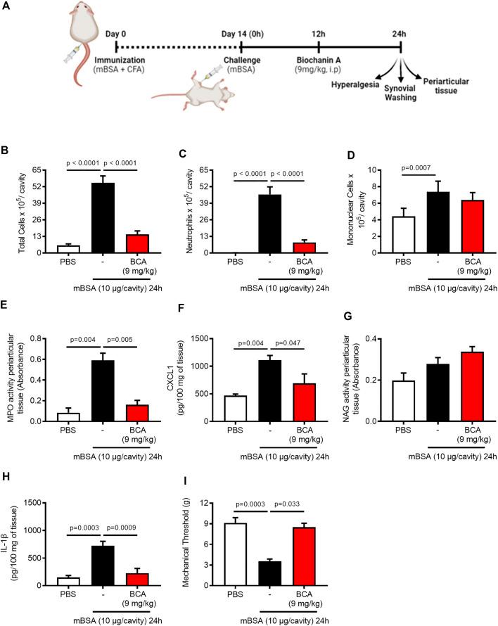 https://cdn.ncbi.nlm.nih.gov/pmc/blobs/076c/8114065/a3bbd4846078/fphar-12-662308-g001.jpg