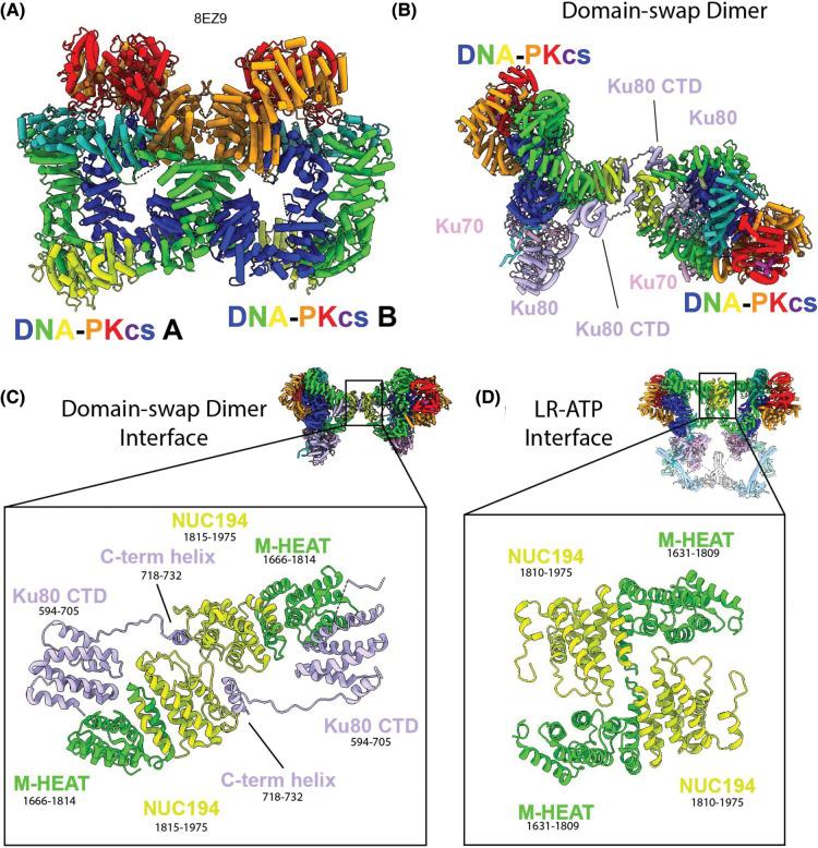 https://cdn.ncbi.nlm.nih.gov/pmc/blobs/076d/10657183/ef00ecf17ac8/BST-51-1789-g0004.jpg