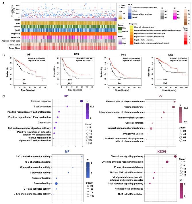 https://cdn.ncbi.nlm.nih.gov/pmc/blobs/076d/11194965/9e33624076f0/12876_2024_3299_Fig1_HTML.jpg