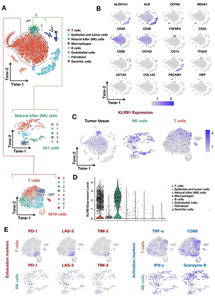 https://cdn.ncbi.nlm.nih.gov/pmc/blobs/076d/11194965/febee897267d/12876_2024_3299_Fig2_HTML.jpg