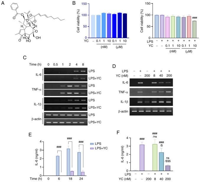 https://cdn.ncbi.nlm.nih.gov/pmc/blobs/076d/12277938/350faf3365a6/etm-30-03-12918-g00.jpg