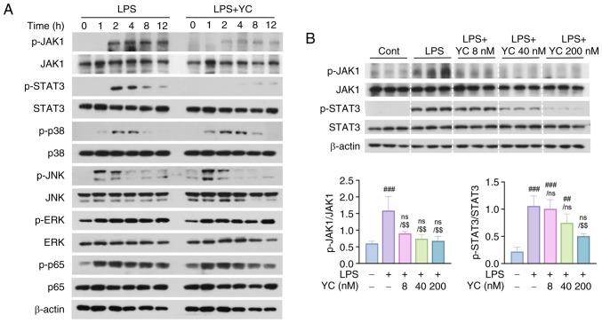 https://cdn.ncbi.nlm.nih.gov/pmc/blobs/076d/12277938/539e289f1824/etm-30-03-12918-g01.jpg