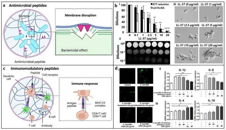 https://cdn.ncbi.nlm.nih.gov/pmc/blobs/076e/10887361/f95c919e0c90/biomedicines-12-00313-g004.jpg