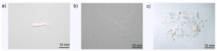 https://cdn.ncbi.nlm.nih.gov/pmc/blobs/0770/5512619/74492d821815/materials-08-05267-g004.jpg