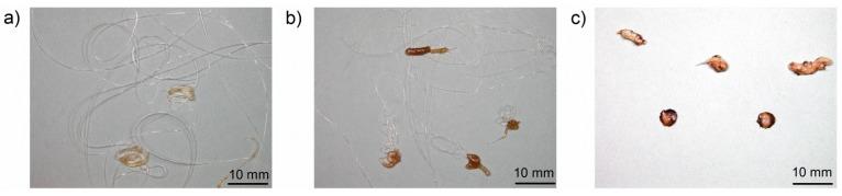 https://cdn.ncbi.nlm.nih.gov/pmc/blobs/0770/5512619/7c46344713dd/materials-08-05267-g008.jpg