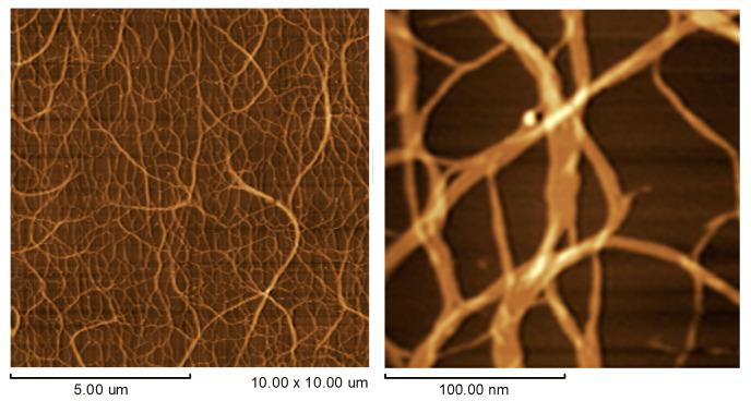 https://cdn.ncbi.nlm.nih.gov/pmc/blobs/0774/10675438/1dab465d9cf1/polymers-15-04351-g005.jpg