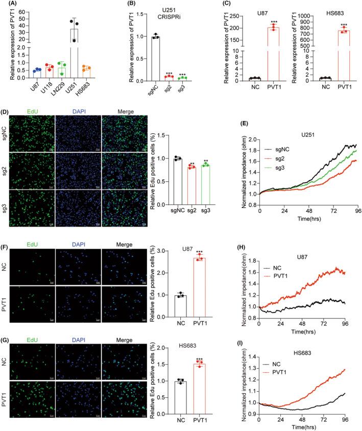 https://cdn.ncbi.nlm.nih.gov/pmc/blobs/0774/10805395/094f3982341e/CNS-30-e14566-g007.jpg