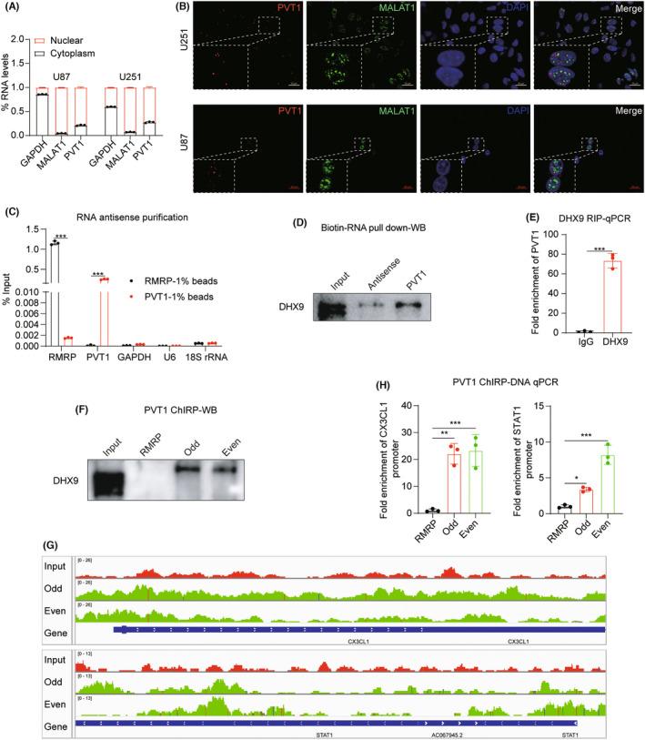 https://cdn.ncbi.nlm.nih.gov/pmc/blobs/0774/10805395/5d7050dd6bd1/CNS-30-e14566-g003.jpg