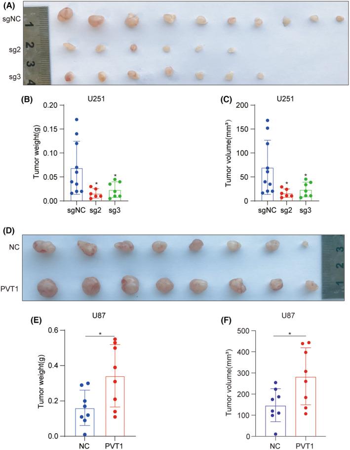 https://cdn.ncbi.nlm.nih.gov/pmc/blobs/0774/10805395/775ed508607a/CNS-30-e14566-g006.jpg