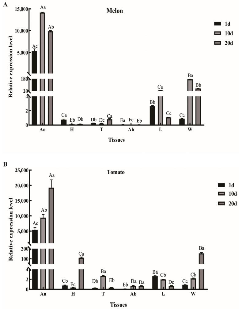 https://cdn.ncbi.nlm.nih.gov/pmc/blobs/0775/11989179/ea1669150f1f/ijms-26-03176-g001.jpg