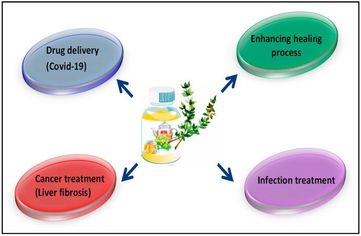 https://cdn.ncbi.nlm.nih.gov/pmc/blobs/0776/7767362/c59049815778/antioxidants-09-01309-g005.jpg